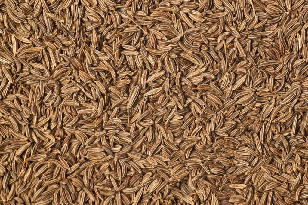cumin seeds
